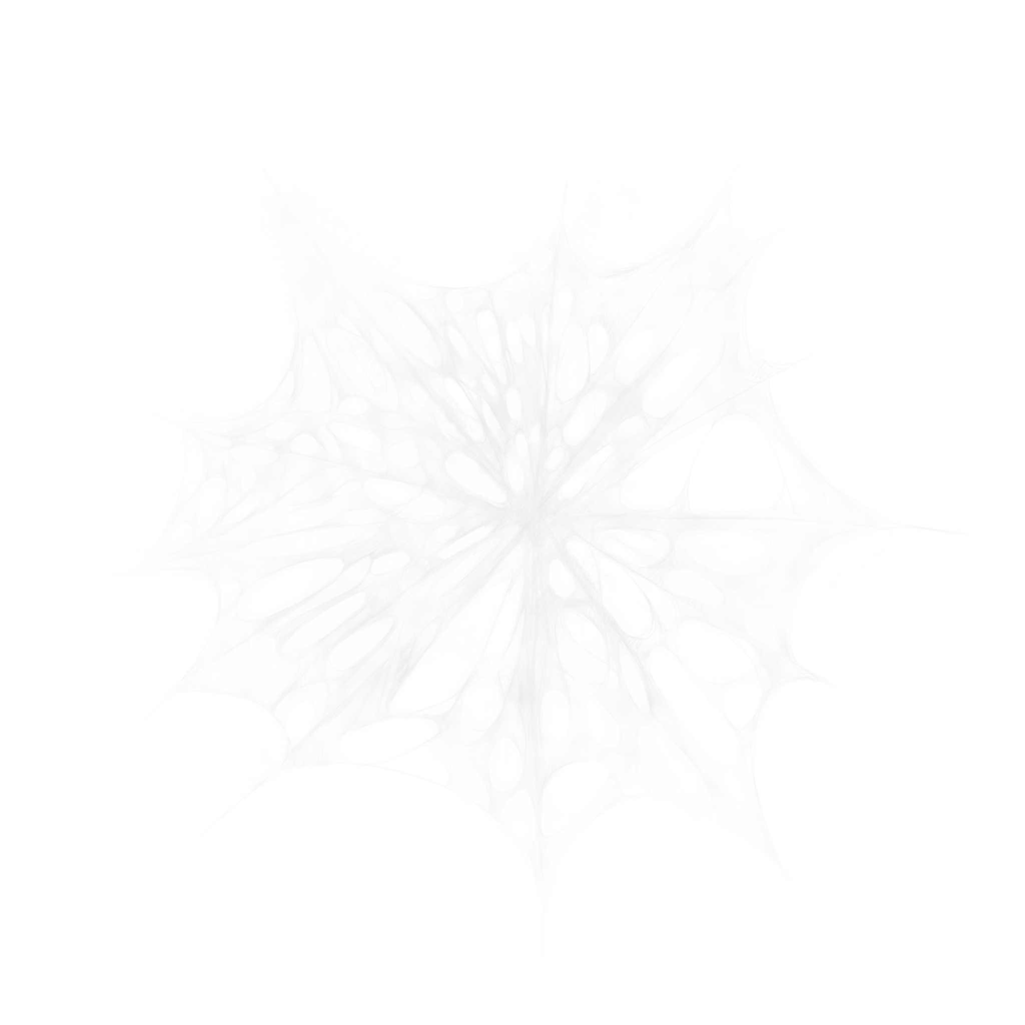 Spider Webs